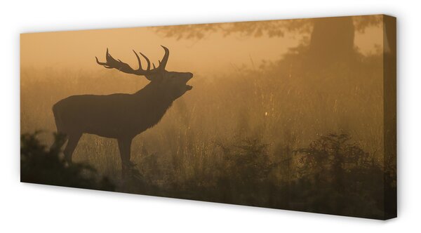 Tablouri canvas Sunrise Deer