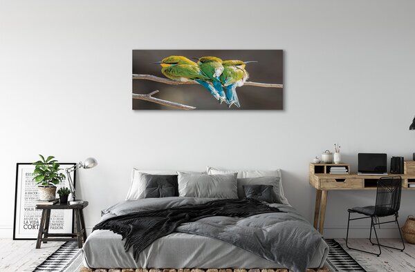 Tablouri canvas Păsări pe o ramură