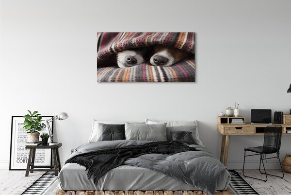 Tablouri canvas câini adormiți