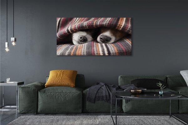 Tablouri canvas câini adormiți