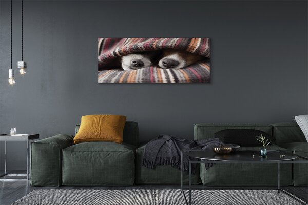 Tablouri canvas câini adormiți