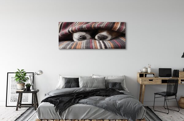 Tablouri canvas câini adormiți