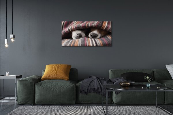 Tablouri canvas câini adormiți