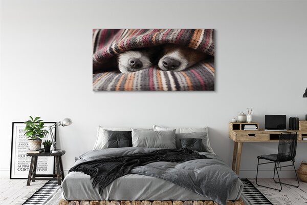 Tablouri canvas câini adormiți