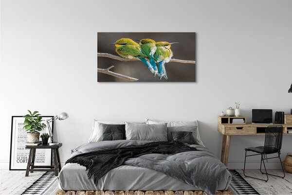 Tablouri canvas Păsări pe o ramură