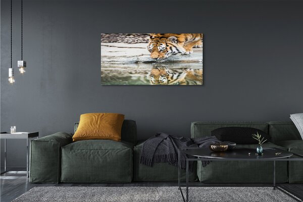 Tablouri canvas tigru Bea