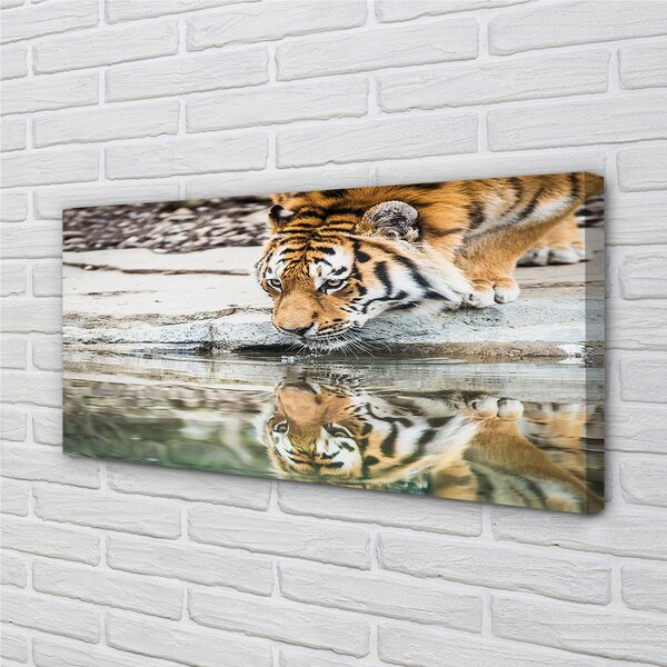 Tablouri canvas tigru Bea