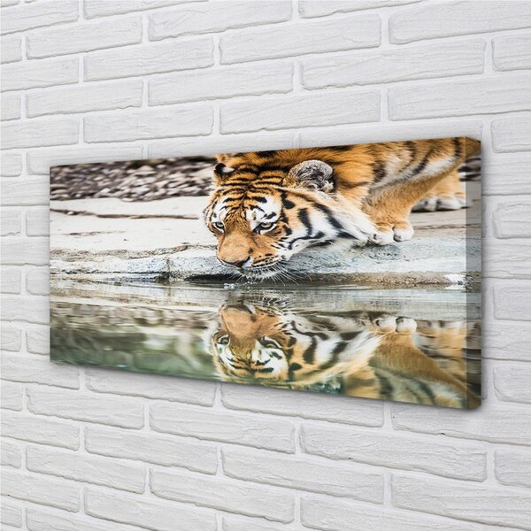 Tablouri canvas tigru Bea