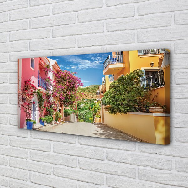 Tablouri canvas Grecia Flori clădiri de până