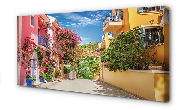 Tablouri canvas Grecia Flori clădiri de până