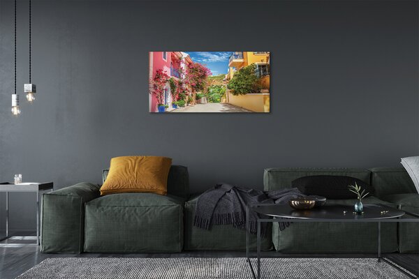 Tablouri canvas Grecia Flori clădiri de până