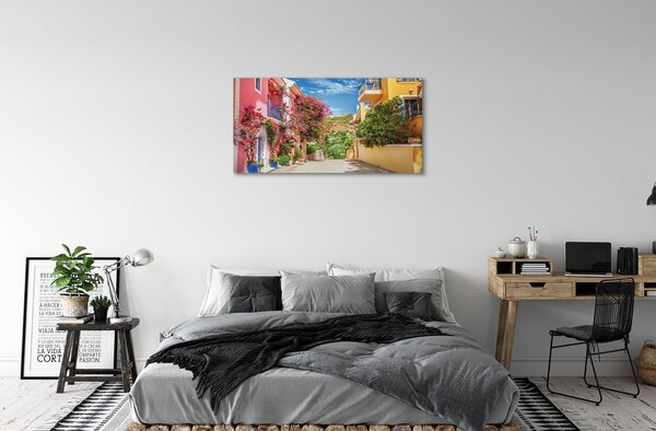 Tablouri canvas Grecia Flori clădiri de până