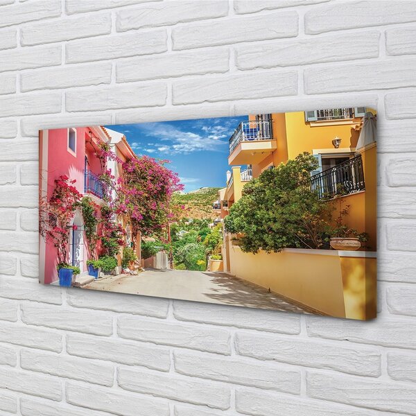 Tablouri canvas Grecia Flori clădiri de până