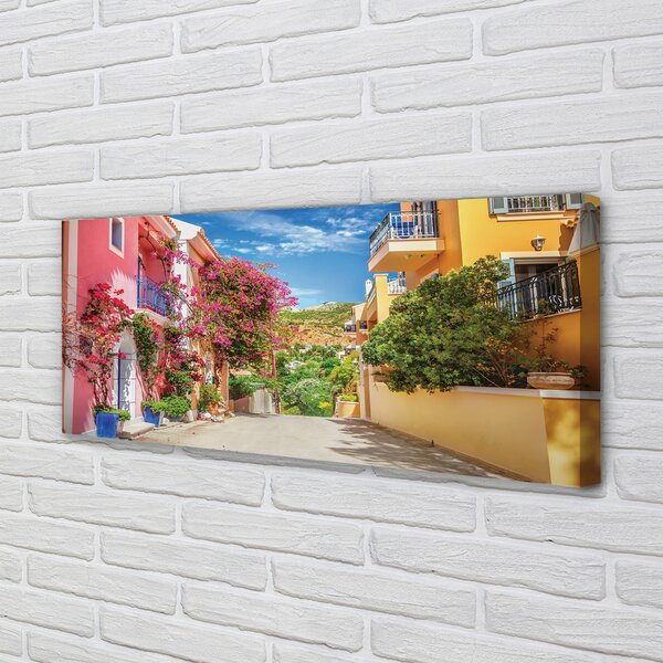 Tablouri canvas Grecia Flori clădiri de până