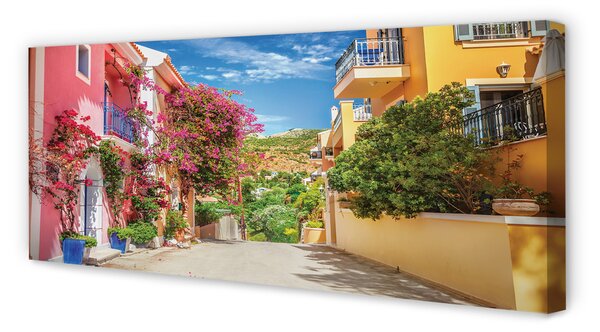 Tablouri canvas Grecia Flori clădiri de până