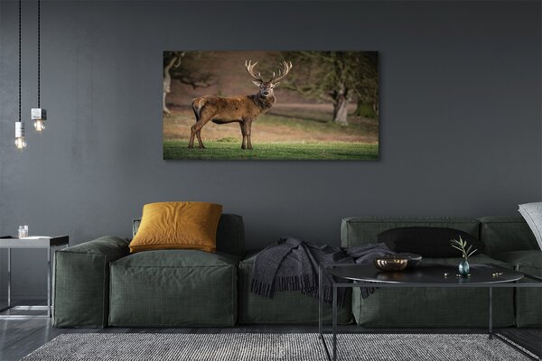 Tablouri canvas Deer în domeniu