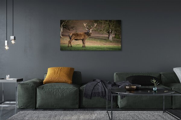 Tablouri canvas Deer în domeniu