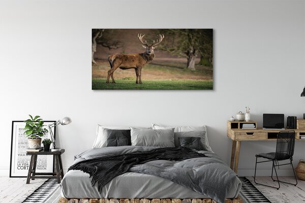Tablouri canvas Deer în domeniu