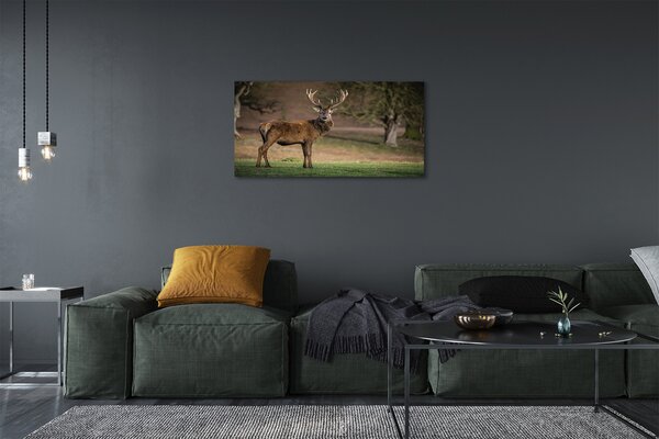 Tablouri canvas Deer în domeniu