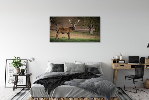 Tablouri canvas Deer în domeniu