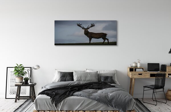 Tablouri canvas Stag noapte