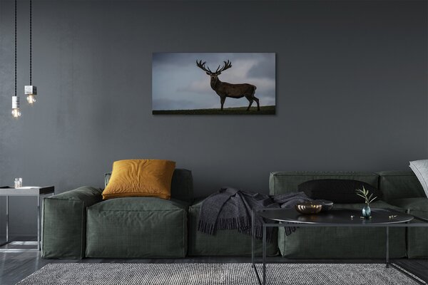 Tablouri canvas Stag noapte