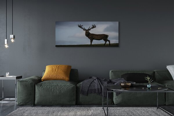 Tablouri canvas Stag noapte