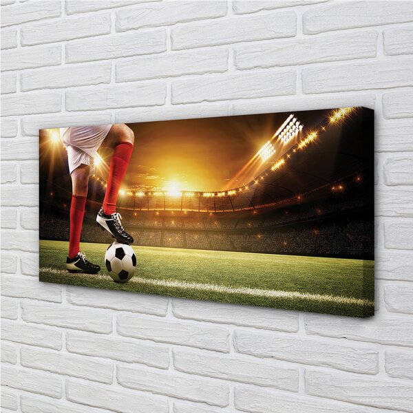 Tablouri canvas picioare stadion de fotbal