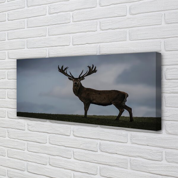 Tablouri canvas Stag noapte