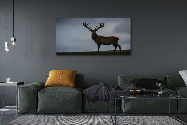 Tablouri canvas Stag noapte