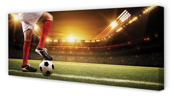 Tablouri canvas picioare stadion de fotbal