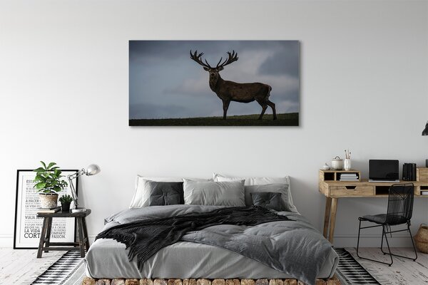 Tablouri canvas Stag noapte