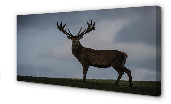 Tablouri canvas Stag noapte