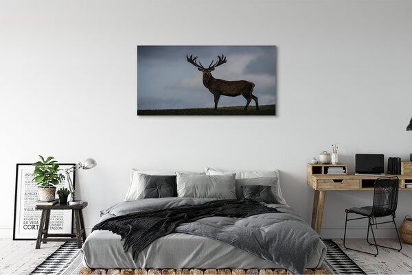 Tablouri canvas Stag noapte