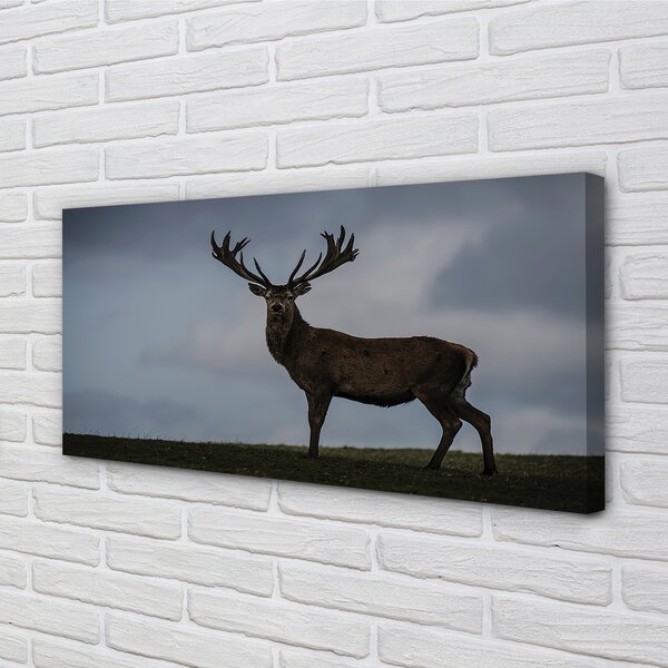 Tablouri canvas Stag noapte
