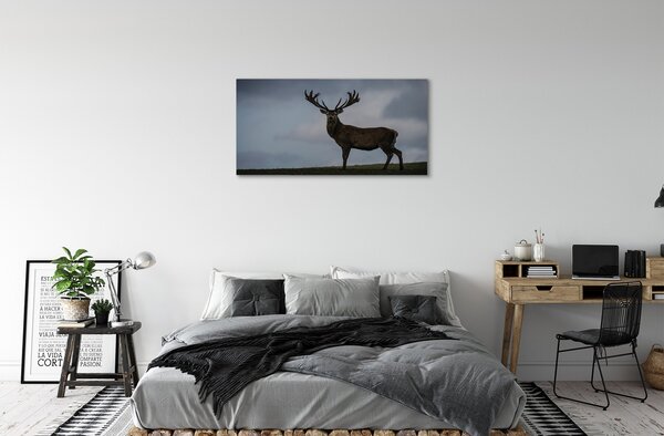 Tablouri canvas Stag noapte