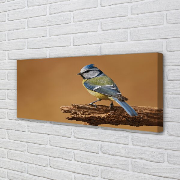 Tablouri canvas Pasăre