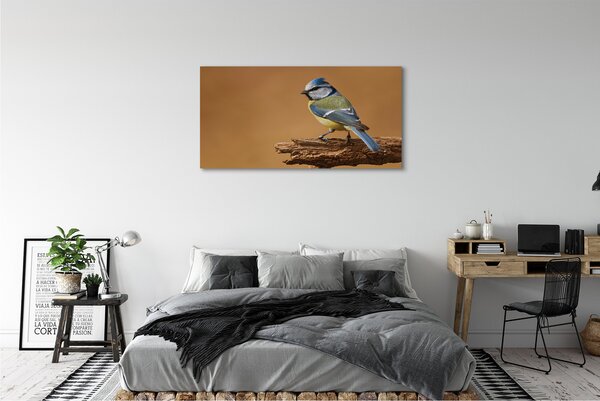 Tablouri canvas Pasăre