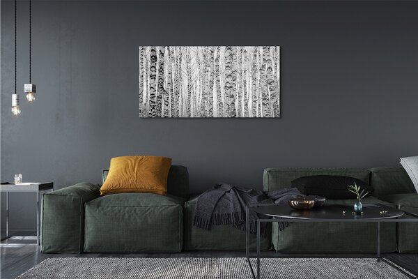 Tablouri canvas Mesteacan alb-negru