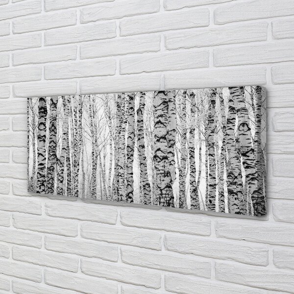 Tablouri canvas Mesteacan alb-negru