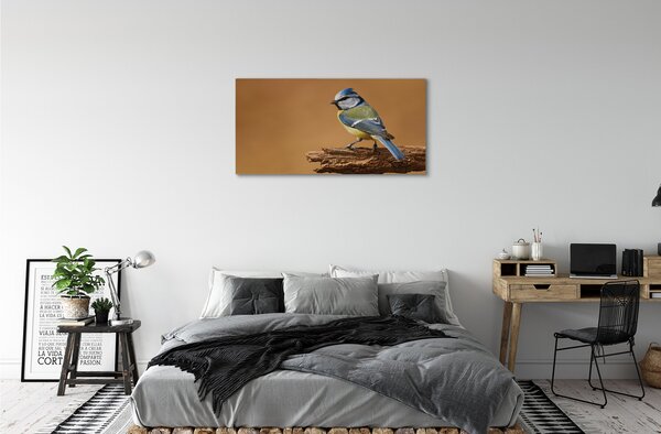 Tablouri canvas Pasăre