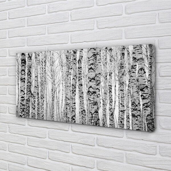 Tablouri canvas Mesteacan alb-negru