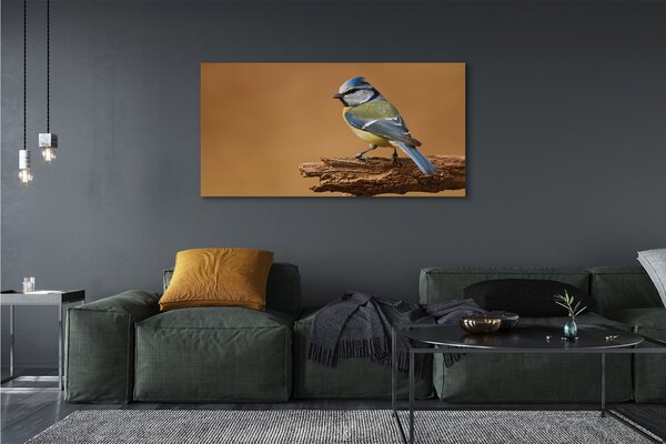 Tablouri canvas Pasăre