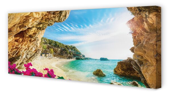 Tablouri canvas Grecia Coast stânci flori