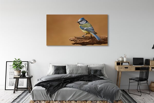 Tablouri canvas Pasăre