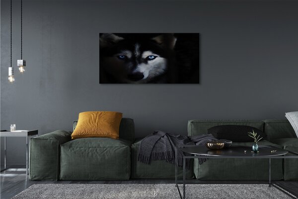 Tablouri canvas ochi de lup