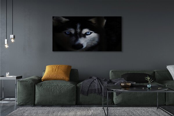 Tablouri canvas ochi de lup