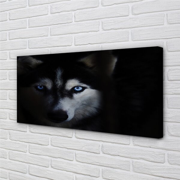 Tablouri canvas ochi de lup