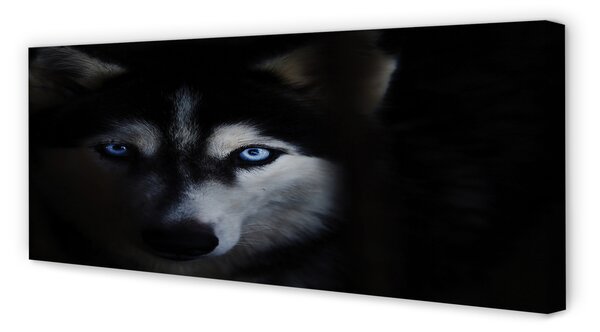 Tablouri canvas ochi de lup