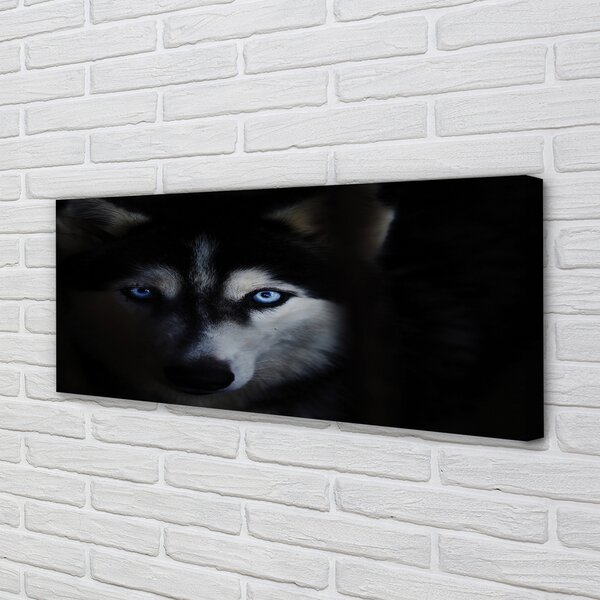 Tablouri canvas ochi de lup